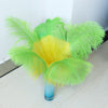 10PC Two-Tone Decorative Feather Plumes