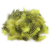 Natural Spotted Guinea Fowl Feathers 100PC