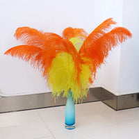 10PC Two-Tone Decorative Feather Plumes