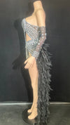 Sparkly Rhinestone & Feather Long Tail Bodysuit Set Stage Costume