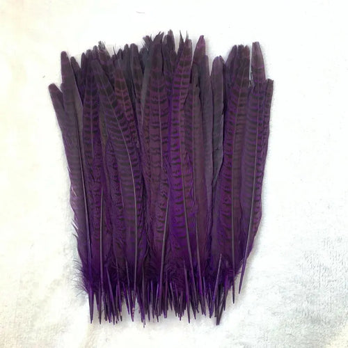 Natural Female Pheasant Tail Feathers (100PCS)