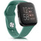 green / Versa 4
