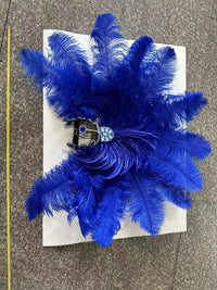 The Stardust Samba Enchantment – Exquisite Feathered Dance & Stage Headdress