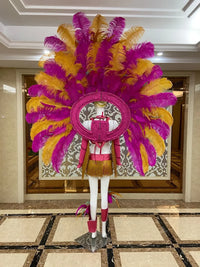 Regal Feathered Backpiece and Rhinestone Costume Set