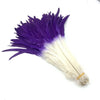50PCS Two-Tone Rooster Tail Feathers (35-40CM)