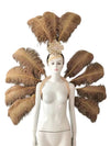 Feather Backpiece and Plume Headdress Set