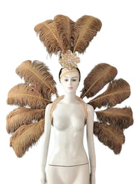 Feather Backpiece and Plume Headdress Set