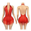 Crystal Rhinestone Fringe Sleeveless Bodysuit & Aerial Dance Leotard Costume