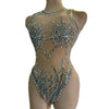 The Stardust Spider – Sexy Silver Sequins & Rhinestone Mesh Bodysuit