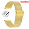 gold / 24mm