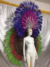 Showgirl Feather Backpiece and Rhinestone Headdress Set