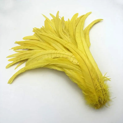 50PCS Two-Tone Rooster Tail Feathers (35-40CM)