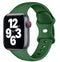 green / 38mm 40mm 41mm (42mm S10 & S11)
