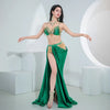 The Stardust Oasis 4-Piece Ensemble – Luxury Belly Dance Performance Suit