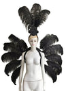 Feather Backpiece and Plume Headdress Set