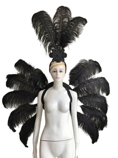 Feather Backpiece and Plume Headdress Set