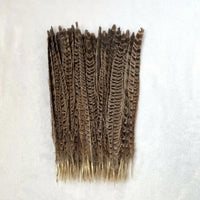 Natural Female Pheasant Tail Feathers (10pcs/lot)