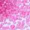 Pink / Mix Size(SS6-SS20) / 1440Pcs