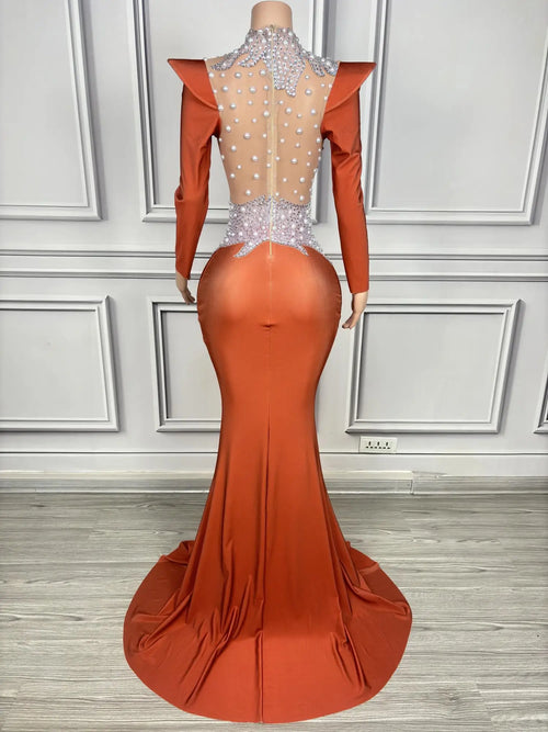 Rhinestone Floral Embroidered Mermaid Gala Gown & Trailing Evening Dress