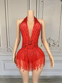Crystal Rhinestone Fringe Sleeveless Bodysuit & Aerial Dance Leotard Costume