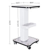 40Kg Salon Rolling Trolley Cart SPA Beauty Salon Storage Equipment Machine Stand Organizer Spa Cart Max Load