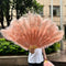 Shrimp pink / 130CM 1Pair(2pcs)
