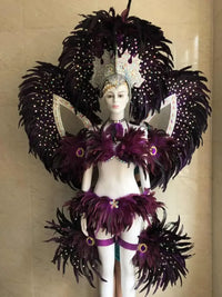 Jewel-Toned Feathered Wings and Headdress Set