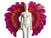 Two-Tone Feather Wing Backpiece Stage Costume Accessory