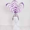 Striped Feather Headdress