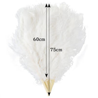 100CM Ostrich Feather Fans