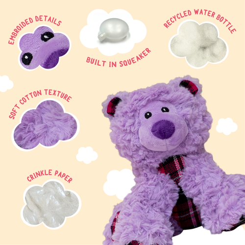 Bella the Bear