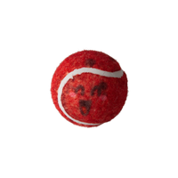 Behind Mars 2pk Tennis Squeaky Balls