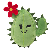 Chloe the Cactus