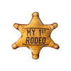 Kitty 1st Rodeo with Catnip