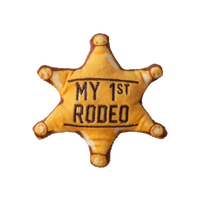 Kitty 1st Rodeo with Catnip
