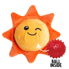Sweet Sunshine