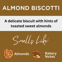 Almond Biscotti Scented Liquid Hand Soap