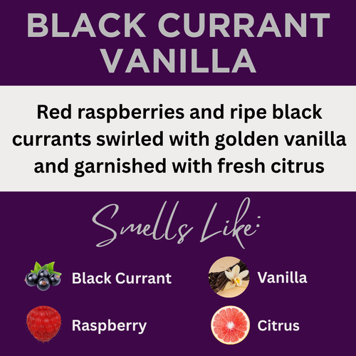 Black Currant Vanilla Scented Sea Salt Bath Soak