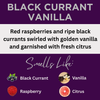 Black Currant Vanilla Scented Argan Oil Hair Conditioner