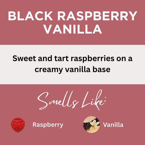 Black Raspberry Vanilla Scented Argan Oil Hair Shampoo