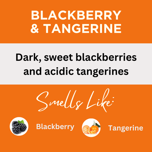 Blackberry & Tangerine Scented Body Lotion