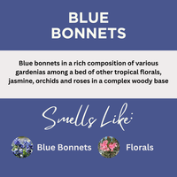Blue Bonnets Scented Argan Oil Hair Conditioner