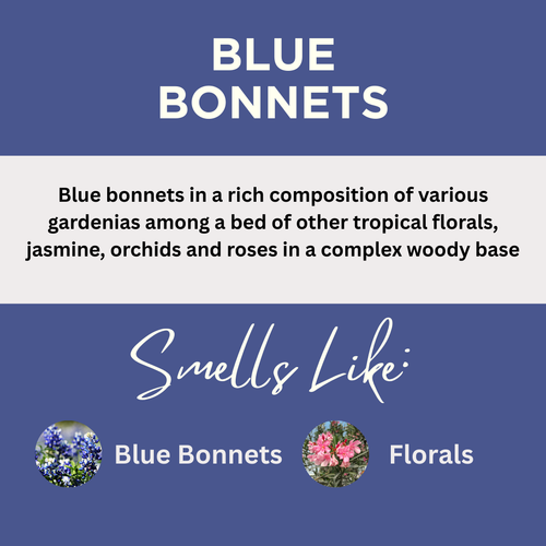 Blue Bonnets Scented Argan Oil Hair Conditioner