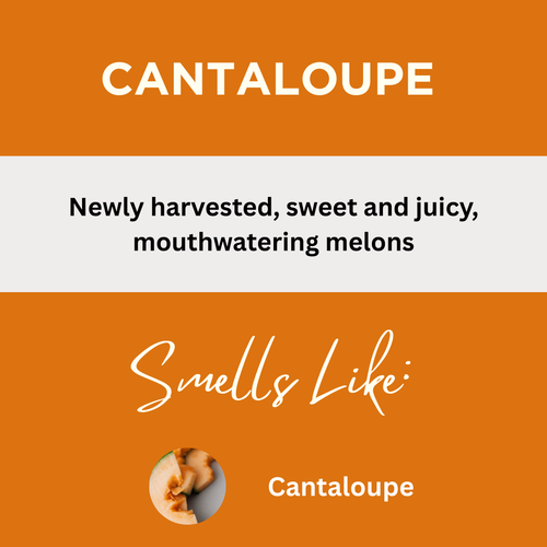 Cantaloupe Scented Massage Oil
