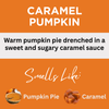 Caramel Pumpkin Scented Hair Detangler