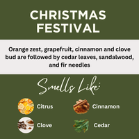 Christmas Festival Scented Protein Hair Gel