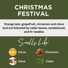 Christmas Festival Scented Argan Oil Hair Shampoo
