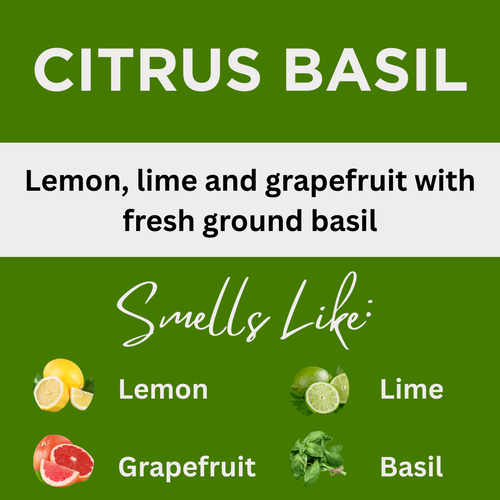 Citrus Basil Scented Argan Oil Hair Conditioner
