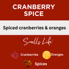 Cranberry Spice Scented Argan Oil Hair Conditioner