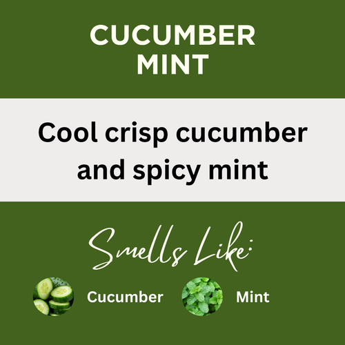 Cucumber Mint Scented Protein Hair Gel